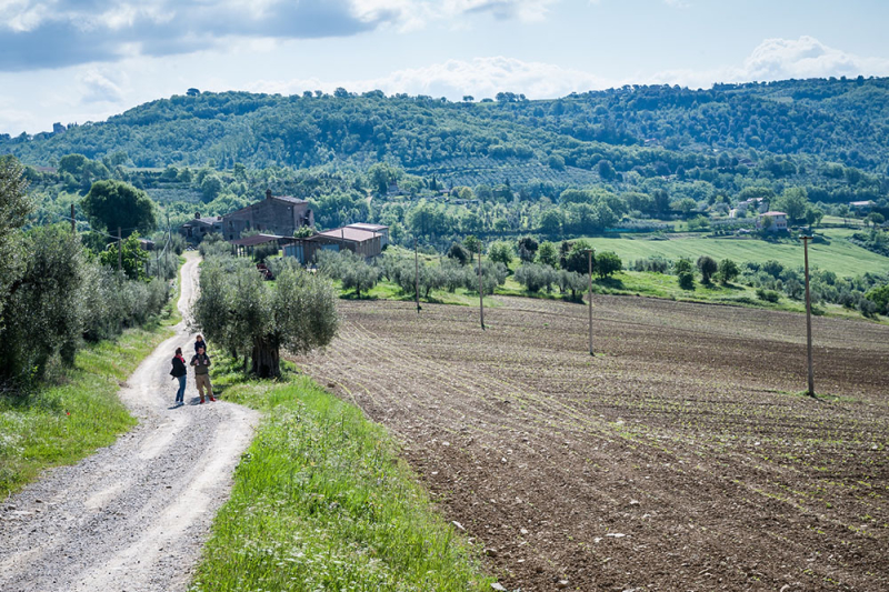 Borgo Colognola